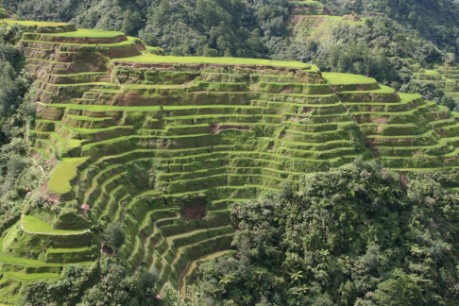 Banaue Gustavs Place
