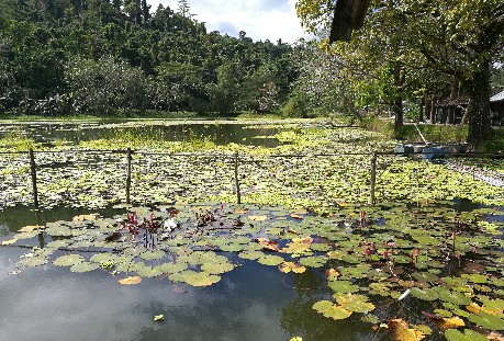 Lake Libuao
